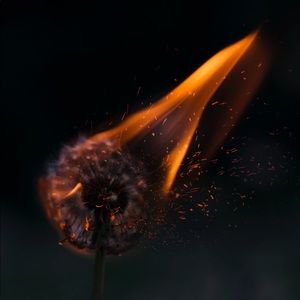 Meet your Posher, Baylee